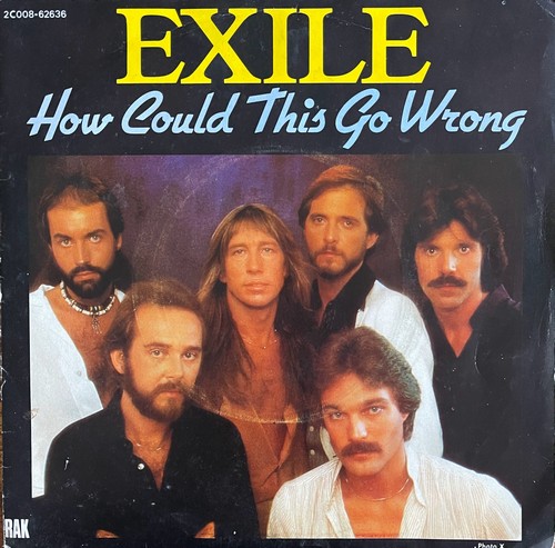 exile-how-could-this-go-wrong-vinyl-7-45t-single-melodisque